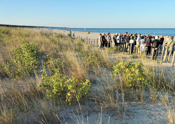 2025_09_19_vista duna Porto Corsini_ph_Stefano Bassi