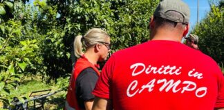 I sindacalisti della Flai Cgil nei terreni agricoli della provincia di Ravenna per informare lavoratrici e lavoratori