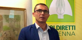 Mercosur: Coldiretti/filiera Italia, accordo ancora insoddisfacente, servono reciprocità e più controlli