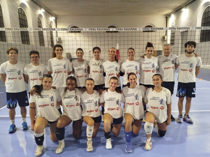 Fenix Energia Serie D