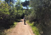 Tour in bicicletta alla scoperta della Pineta di Classe