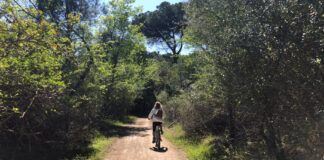 Tour in bicicletta alla scoperta della Pineta di Classe