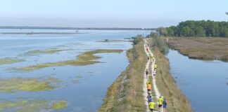 Natura e sport: domenica 7 settembre torna la Ravenna Park Race