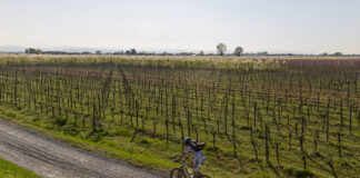 Bassa Romagna: una pedalata e un trekking urbano dedicati alla «memoria nel paesaggio»