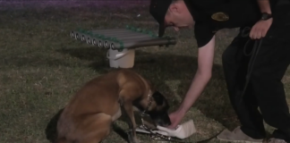 Inaugurato il campo di addestramento dell’Associazione Nucleo Cinofilo