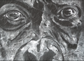 A tu per tu: confronto con l’installazione del primate di Saverio Mininni