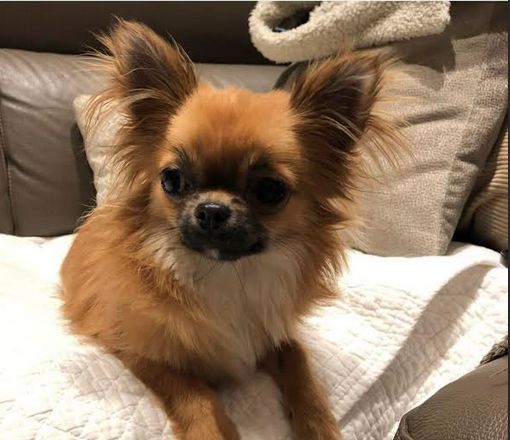 Schermata 2025-09-15 alle 09.35.08