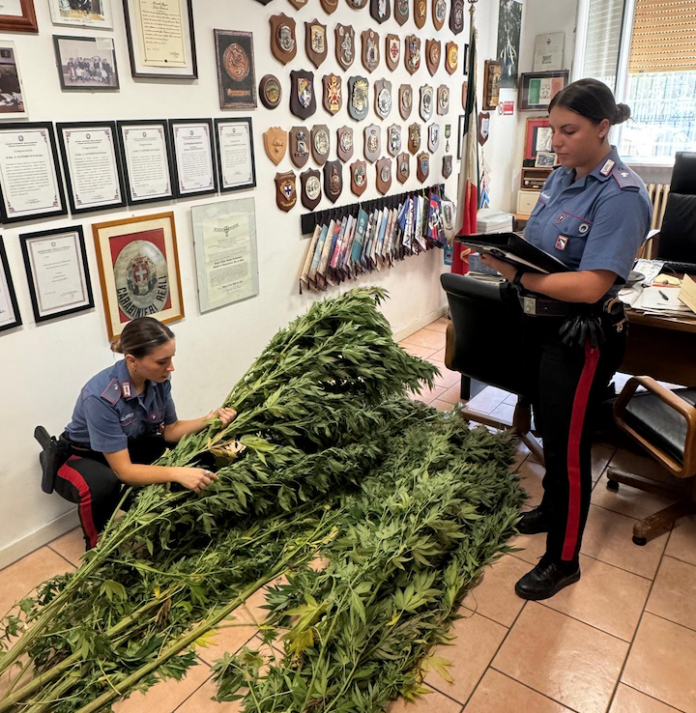 Schermata 2025-09-17 alle 13.44.04