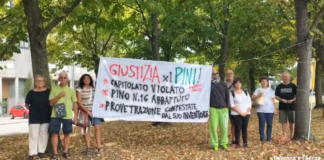 Nuovo presidio contro gli abbattimenti dei pini a Lido di Savio