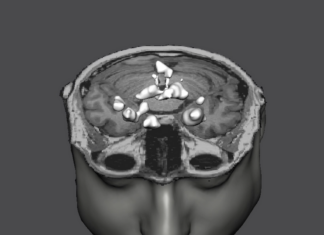 L’abbondanza e la scarsità di cibo in un’installazione artistica al MIC