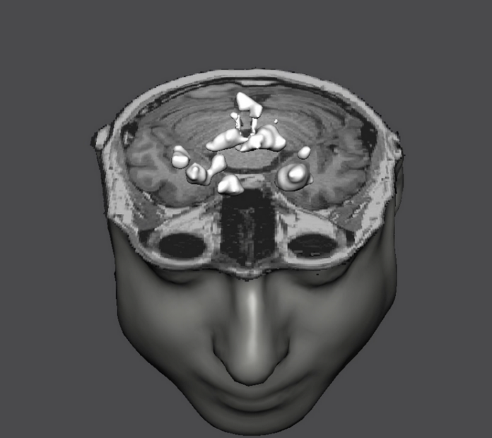Schermata 2025-09-29 alle 14.54.51
