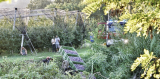 Incidente di Sarna: aperta un’inchiesta per omicidio colposo