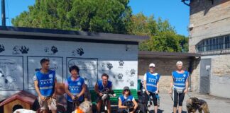 Enpa Ravenna: “Passeggiata a quattro zampe”