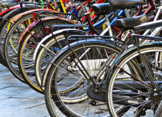 1 febbraio domenica ecologica: chi può circolare e chi no