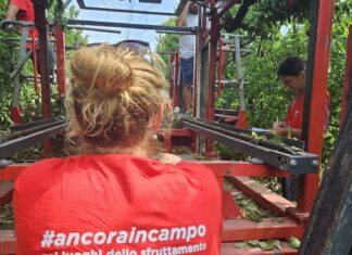 Sentenza per il caso di caporalato denunciato dalla Flai Cgil di Ravenna.