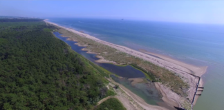 Life NatuReef, approvato il progetto esecutivo per la realizzazione della scogliera soffolta a protezione della costa dall’erosione marina in prossimità della foce del torrente Bevano