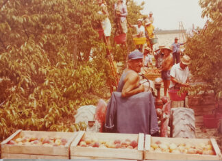 80 anni di CAB Fusignano: uno sguardo al futuro che nasce da radici profonde