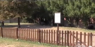 Parco Tassinari: continuano le indagini per i due cani avvelenati