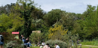 Un cestino in Giardino: picnic di settembre a Casa delle Farfalle