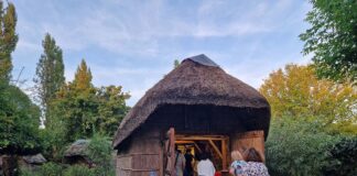 Quarantunesima edizione per la Sagra delle Erbe Palustri: tradizione, intrecci e comunità