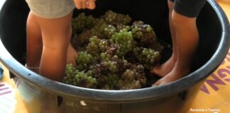 Festa della Vendemmia con Campagna Amica