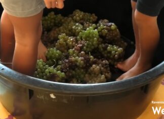 Festa della Vendemmia con Campagna Amica