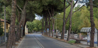 Ancora modifiche alla viabilità in via degli Insorti per i lavori alla rete del gas