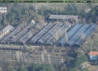 GdF Ravenna: bloccata erogazione di mezzo milione di euro di fondi PNRR e sequestrata un’area di circa 8.000 metri quadrati per illeciti ambientali