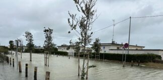 Mareggiata a Cervia: la Cooperativa Bagnini monitora la situazione e avvia la valutazione dei danni