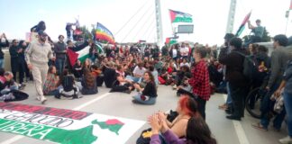 Manifestanti bloccano il ponte mobile. Traffico in tilt