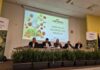 Fruit Modena Group entra in Agrintesa: completata la fusione