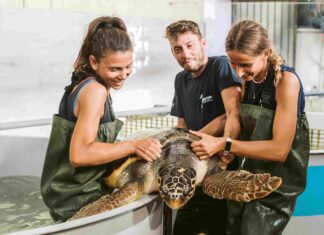 L’Emilia Romagna nella Top 8 dei finalisti per gli eroi della conservazione Defender Awards