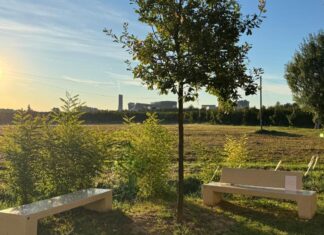 A Russi una quercia e due panchine in ricordo di Max Venturi, un gesto simbolico e concreto per la comunità
