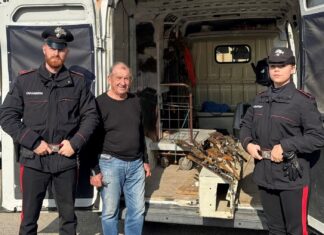 Furti in abitazione, i Carabinieri ritrovano armi rubate: commosso il proprietario