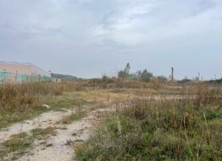 Ancisi (Lista per Ravenna): “Rinviata a chissà quando la realizzazione del Parco delle Dune a Porto Corsini”