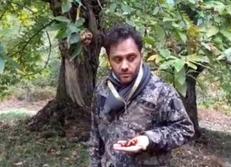 Castagne, campagna positiva per l’alta collina faentina