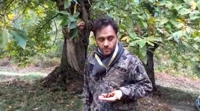 Grementieri Nicola nel castagneto