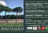 “Salviamo i pini di Lido di Savio e Ravenna” presenta “Cura, analisi, gestione e tutela degli alberi in ambito urbano”