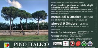 “Salviamo i pini di Lido di Savio e Ravenna” presenta “Cura, analisi, gestione e tutela degli alberi in ambito urbano”