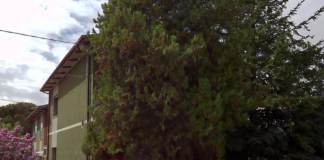 Interrogazione sui lavori di via Fratelli Cervi a Mezzano: ripartito il cantiere, conclusione prevista entro marzo 2026