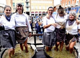 Cotignola: al via la 63esima edizione della Sagra del vino tipico romagnolo