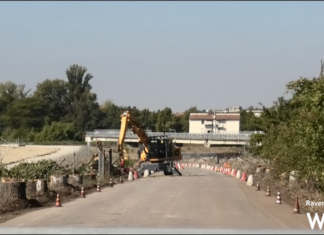Abbattuti gli alberi di via Cimatti. Faenza eco-logica: “Valutiamo una denuncia”