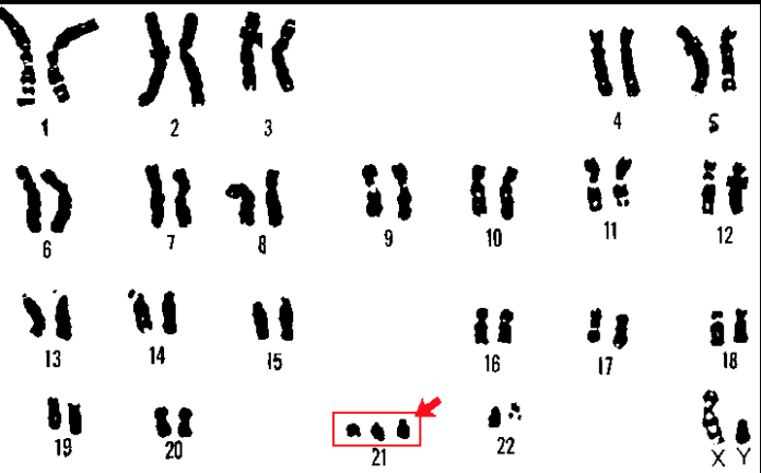 Schermata 2025-10-13 alle 08.40.14