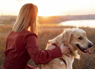 Al via la decima edizione del corso formativo per proprietari di cani