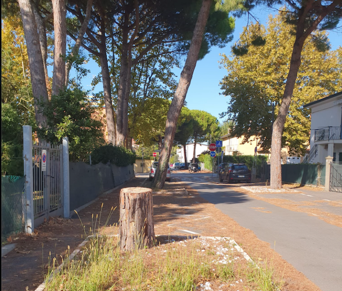 Schermata 2025-10-22 alle 17.29.50