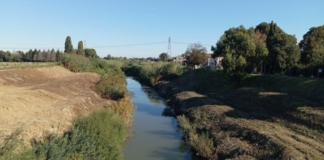 Comitato di Coccolia: “Lavori di pulizia del fiume effettuati solo in territorio forlivese”