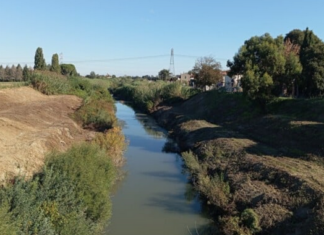 Comitato di Coccolia: “Lavori di pulizia del fiume effettuati solo in territorio forlivese”