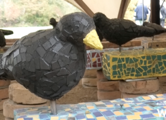 Ornitho-logica: alla Villa Romana di Russi le opere degli studenti dell’Accademia di Belle Arti