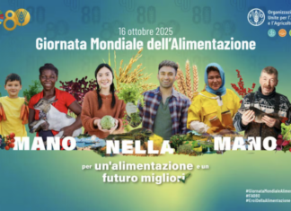 Giornata mondiale dell’alimentazione, “prendi a cuore ciò che mangi”