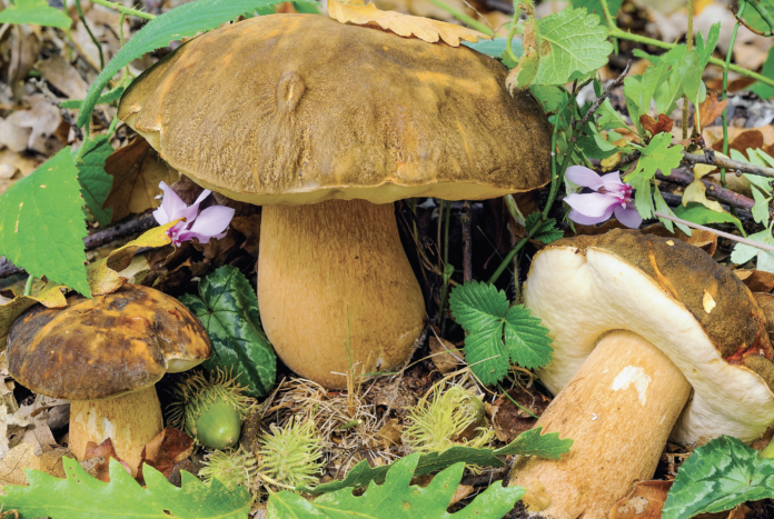 Screenshot 2025-10-21 alle 15.10.16